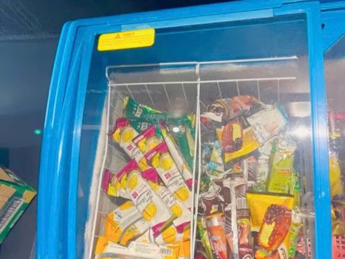 Rổ tủ đông bảo quản thực phẩm